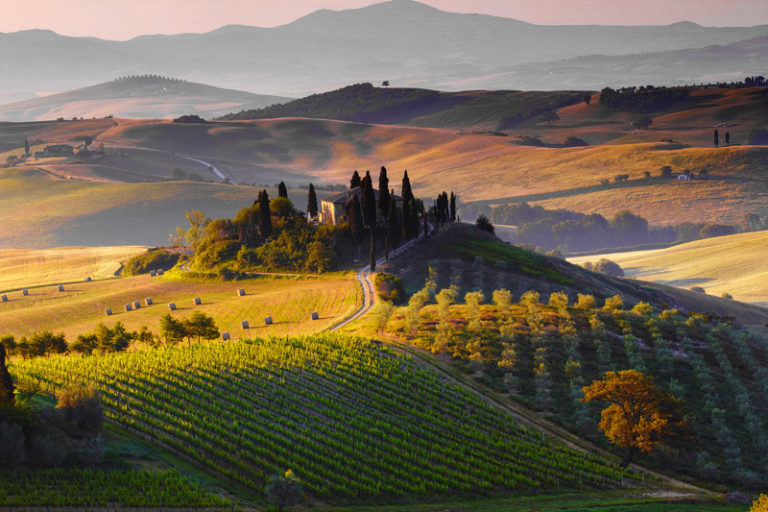 Toscana. Terroir d’eccellenza e alta enologia