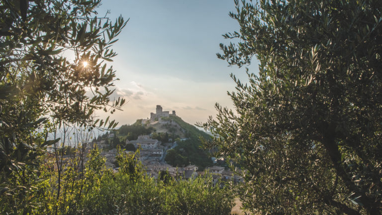 Universi Assisi 2019