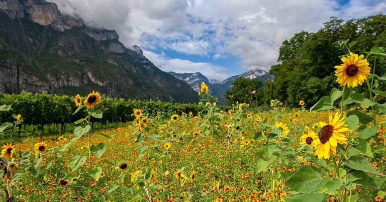 Il Trentino, un territorio felice